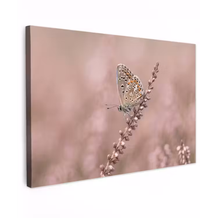 Lavendel - Vlinder - Paars Tuinposter op houten frame 2 cm dik klein -3d