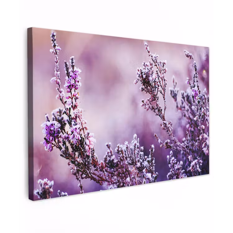 Lavendel - Winter - Bloemen - Paars Tuinposter op houten frame 2 cm dik klein -3d