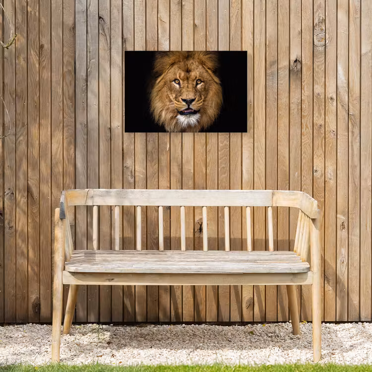Leeuw - Portret - Zwart - Dieren Tuinposter op houten frame 2 cm dik klein -sfeer4
