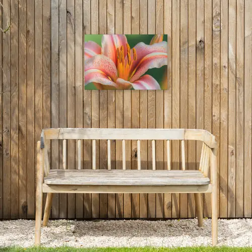 Lelie - Close up - Lichtroze Tuinposter op houten frame 2 cm dik klein -sfeer4