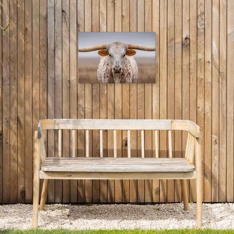 Longhorn - Grasveld - Dier Tuinposter op houten frame 2 cm dik klein -sfeer4