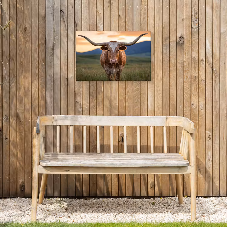 Longhorn - Landschap - Zonsondergang Tuinposter op houten frame 2 cm dik klein -sfeer4