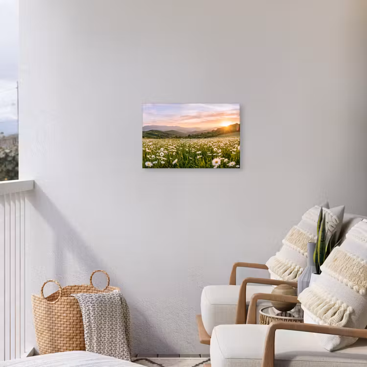 Madelief - Veld - Heuvels - Groen Tuinposter op houten frame 2 cm dik klein -sfeer1
