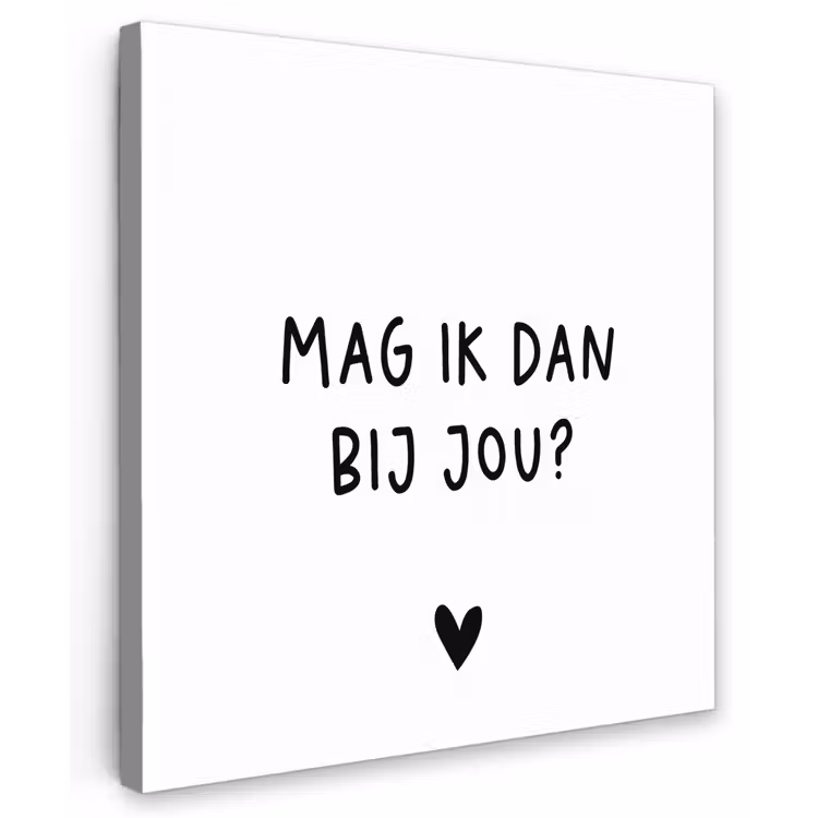 Mag ik dan bij jou - Spreuken - Claudia de Breij - Quotes Tuinposter op houten frame 2 cm dik middel -3d