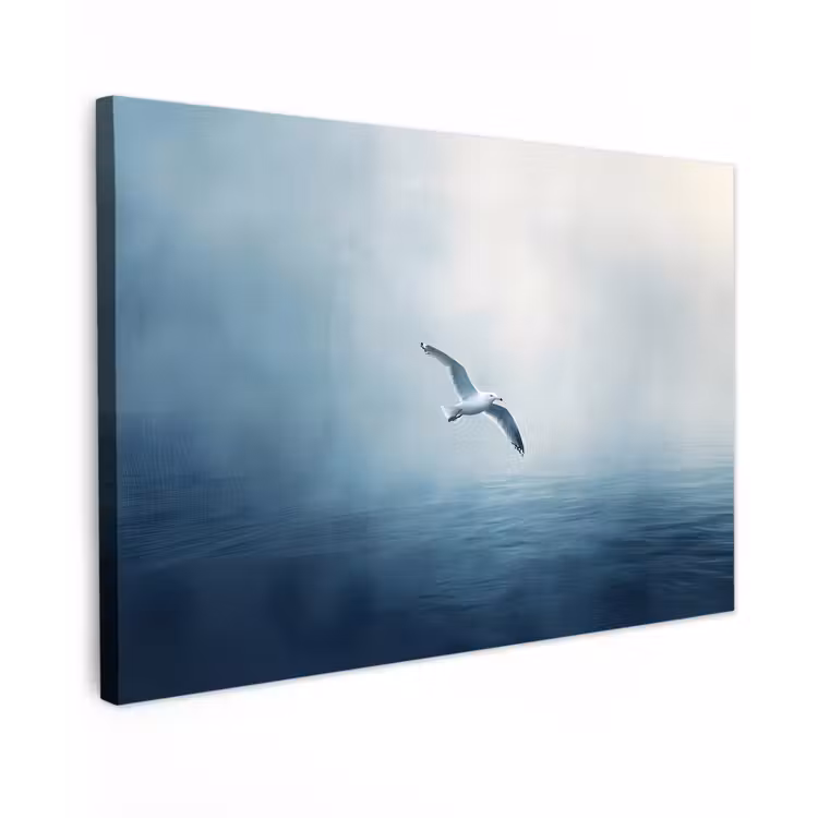 Meeuw - Wit - Zee - Mistig Tuinposter op houten frame 2 cm dik klein -3d