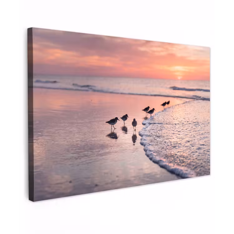Meeuwen - Strand - Zee - Roze Tuinposter op houten frame 2 cm dik klein -3d