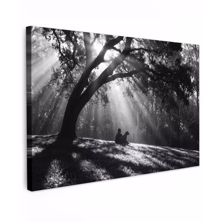 Mens - Hond - Natuur - Zwart-wit - Silhouet Tuinposter op houten frame 2 cm dik klein -3d