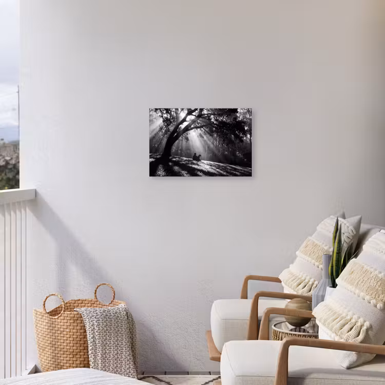 Mens - Hond - Natuur - Zwart-wit - Silhouet Tuinposter op houten frame 2 cm dik klein -sfeer1