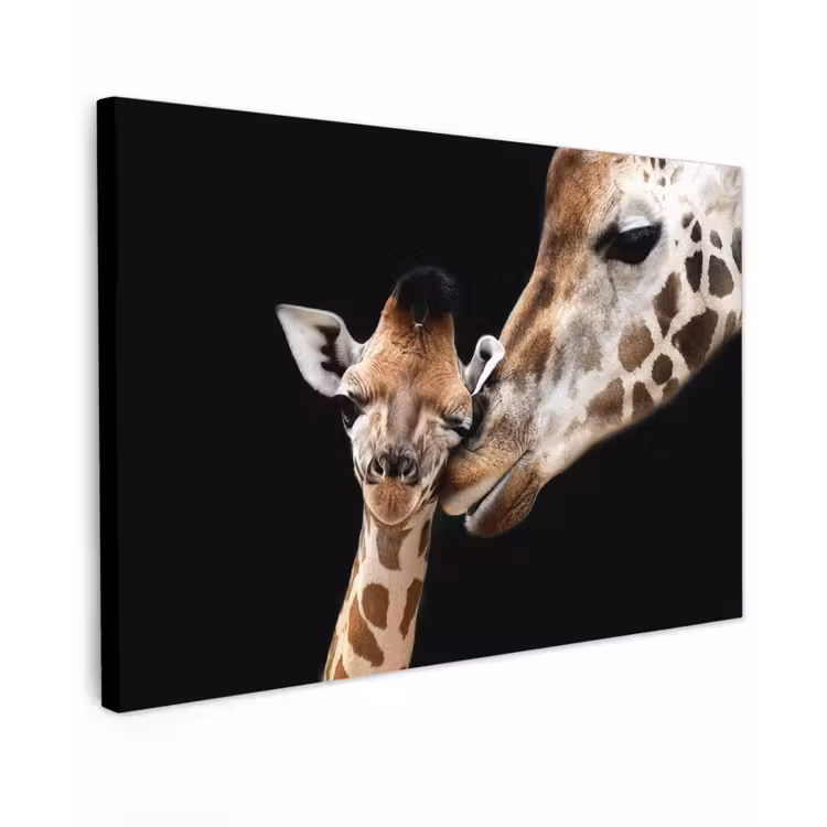 Moederlijke tederheid bij giraffen Tuinposter op houten frame 2 cm dik klein -3d