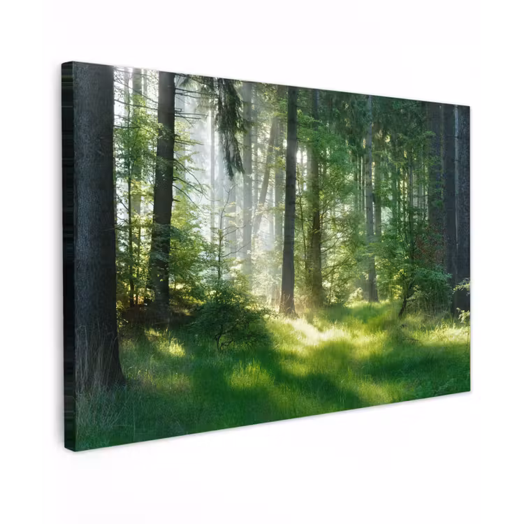 Natuur - Bomen - Bos - Groen - Zon - Gras - Planten Tuinposter op houten frame 2 cm dik klein -3d