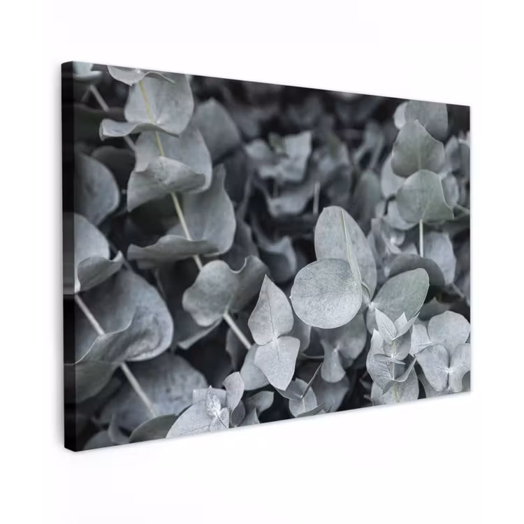 Natuur - Planten - Eucalyptus - Bladeren Tuinposter op houten frame 2 cm dik klein -3d