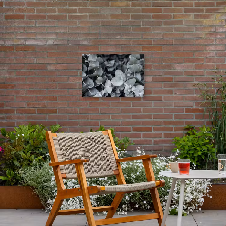 Natuur - Planten - Eucalyptus - Bladeren Tuinposter op houten frame 2 cm dik klein -sfeer3