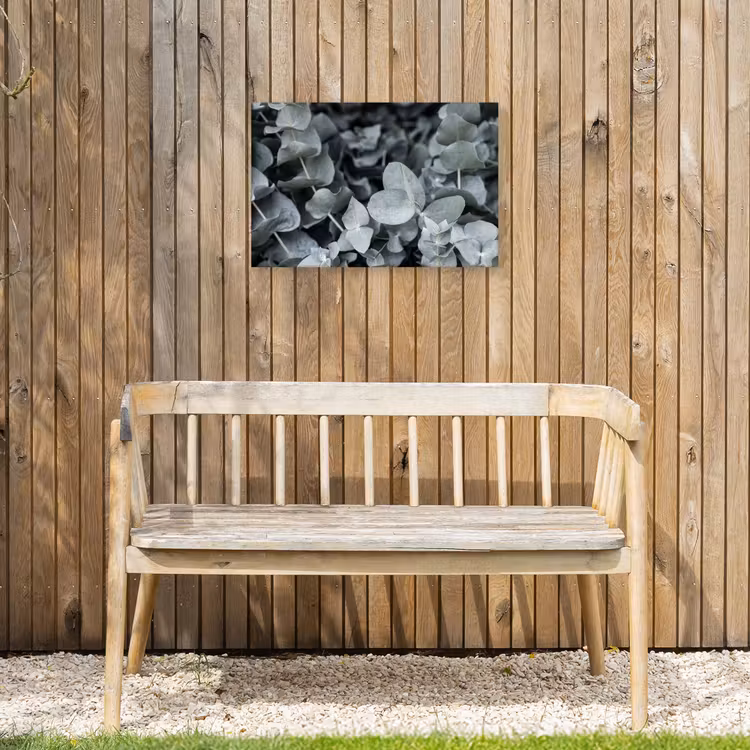 Natuur - Planten - Eucalyptus - Bladeren Tuinposter op houten frame 2 cm dik klein -sfeer4