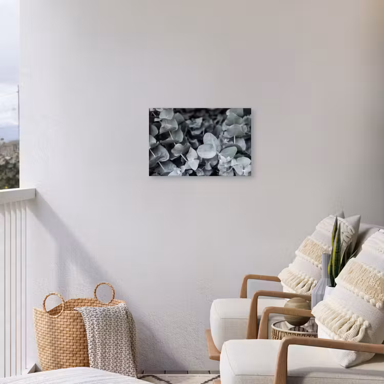 Natuur - Planten - Eucalyptus - Bladeren Tuinposter op houten frame 2 cm dik klein -sfeer1