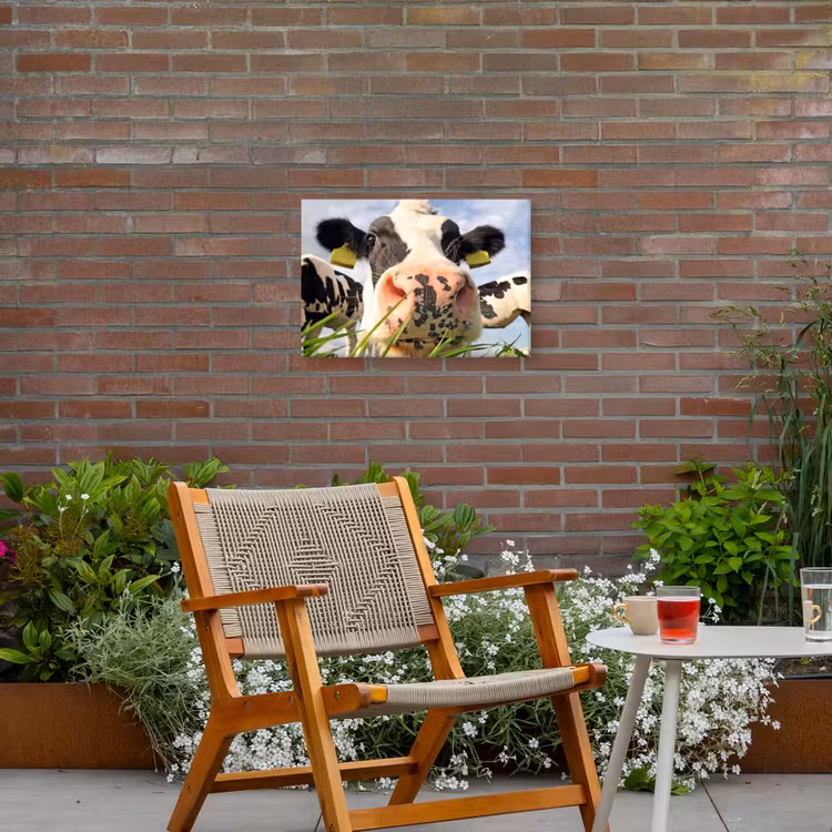 Nieuwsgierige koe in close-up Tuinposter op houten frame 2 cm dik klein -sfeer3