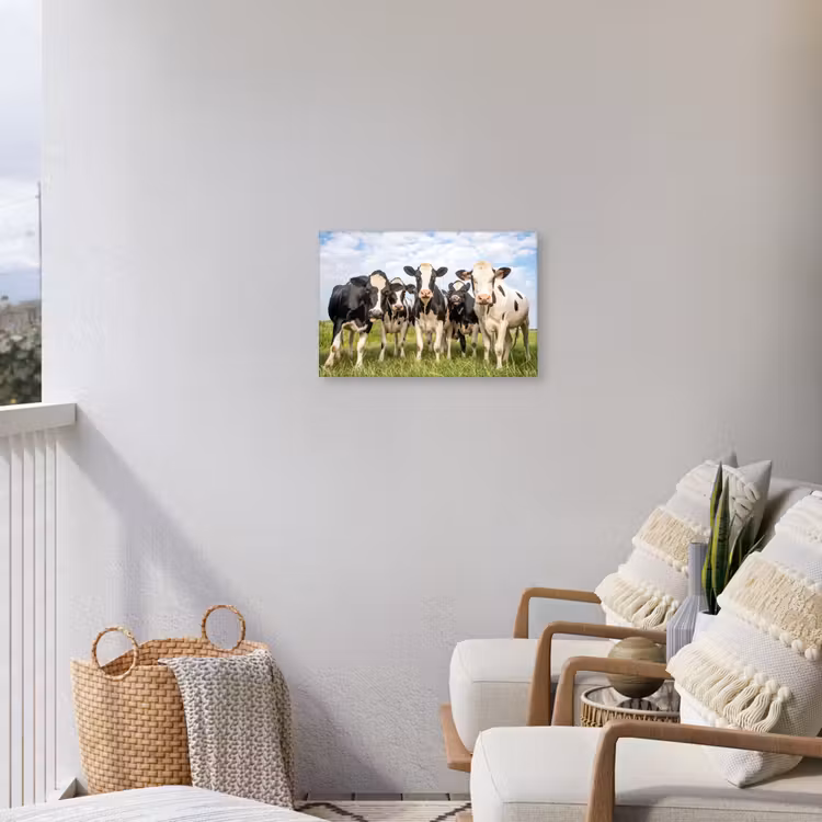 Nieuwsgierige koeien in de wei Tuinposter op houten frame 2 cm dik klein -sfeer1