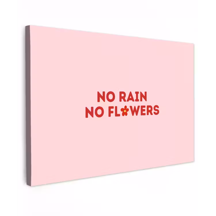 No rain no flowers - Minimalistisch - Roze - Bloem Tuinposter op houten frame 2 cm dik klein -3d
