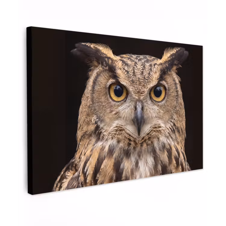 Oehoe - Uil - Portret - Bruin Tuinposter op houten frame 2 cm dik klein -3d