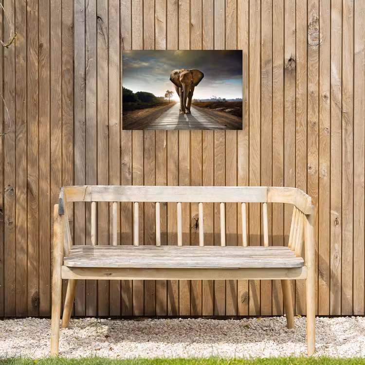Olifant op een verlaten weg Tuinposter op houten frame 2 cm dik klein -sfeer4
