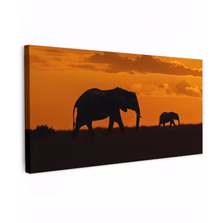 Olifanten - Savanne - Zonsondergang Tuinposter op houten frame 2 cm dik xxl -3d