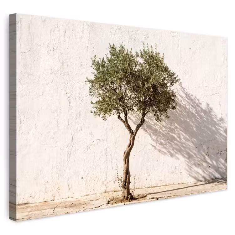 Buiten canvas - Olijfboom - muur - wit - Olijfboom - muur - wit Tuinposter op houten frame 2 cm dik klein