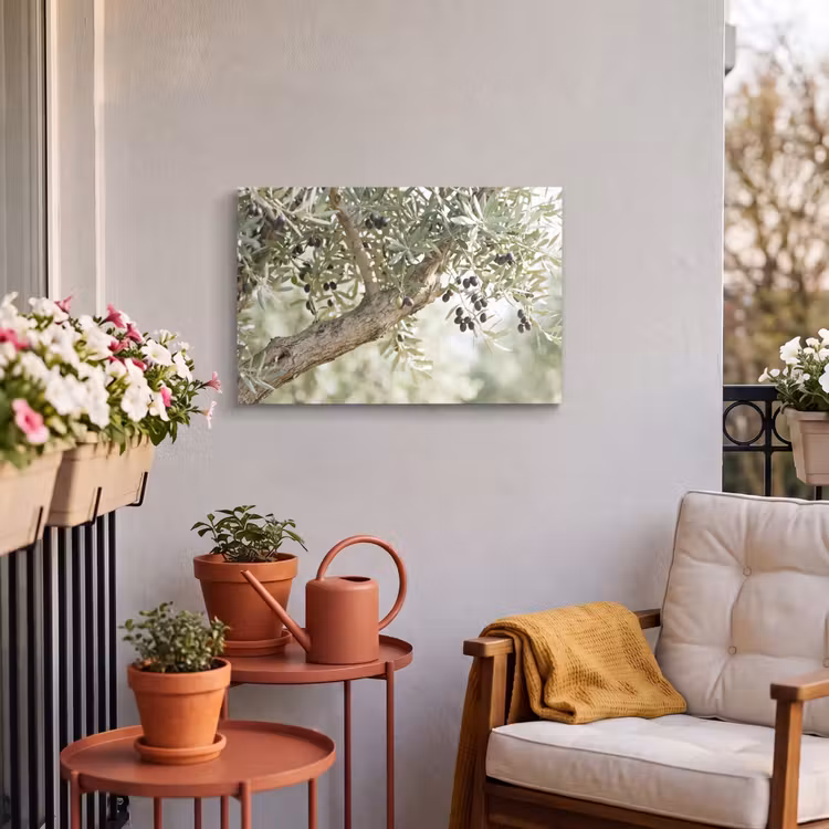Buiten canvas - Olijfboom - tak - groen - Olijfboom - tak - groen Tuinposter op houten frame 2 cm dik klein