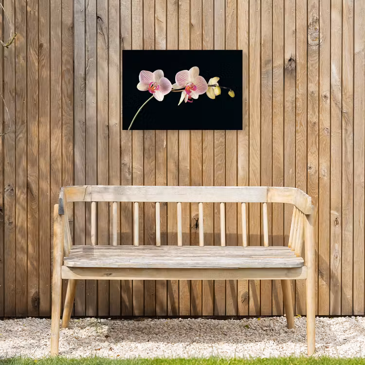 Orchidee - Bloemen - Zwart - Roze - Knoppen Tuinposter op houten frame 2 cm dik klein -sfeer4