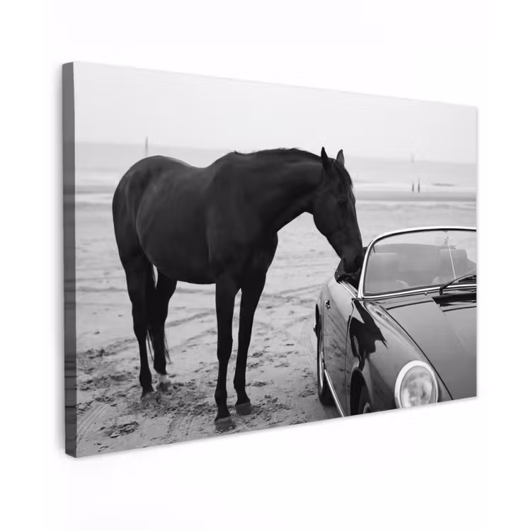 Paard - Auto - Zwart - Wit Tuinposter op houten frame 2 cm dik klein -3d
