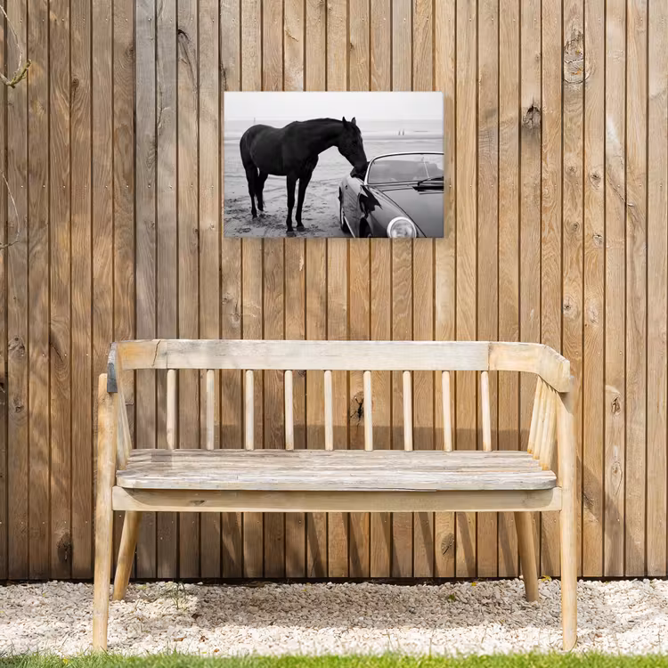Paard - Auto - Zwart - Wit Tuinposter op houten frame 2 cm dik klein -sfeer4