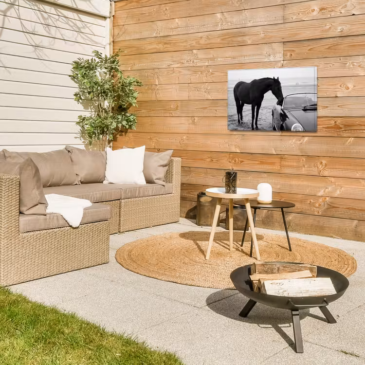 Paard - Auto - Zwart - Wit Tuinposter op houten frame 2 cm dik klein -sfeer2