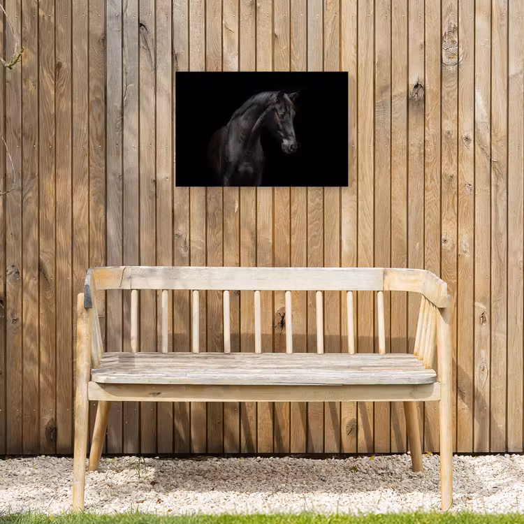 Paard - Dieren - Zwart - Portret Tuinposter op houten frame 2 cm dik klein -sfeer4