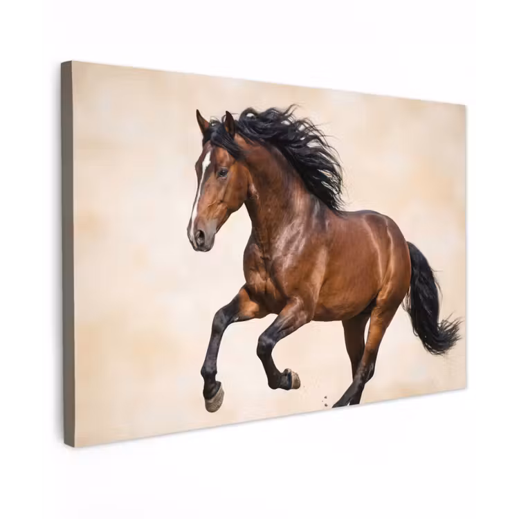 Paard - Galop - Energie Tuinposter op houten frame 2 cm dik klein -3d