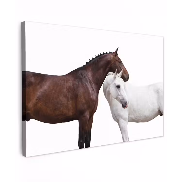Paard - Modern - Balans Tuinposter op houten frame 2 cm dik klein -3d