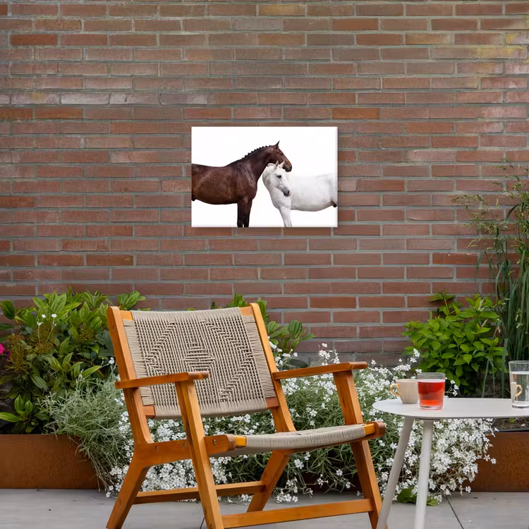 Paard - Modern - Balans Tuinposter op houten frame 2 cm dik klein -sfeer3