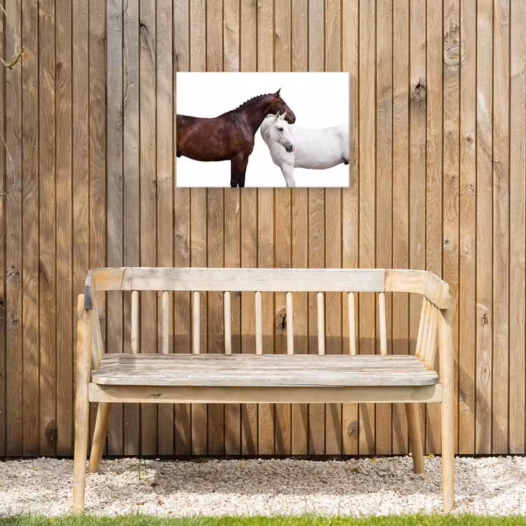 Paard - Modern - Balans Tuinposter op houten frame 2 cm dik klein -sfeer4
