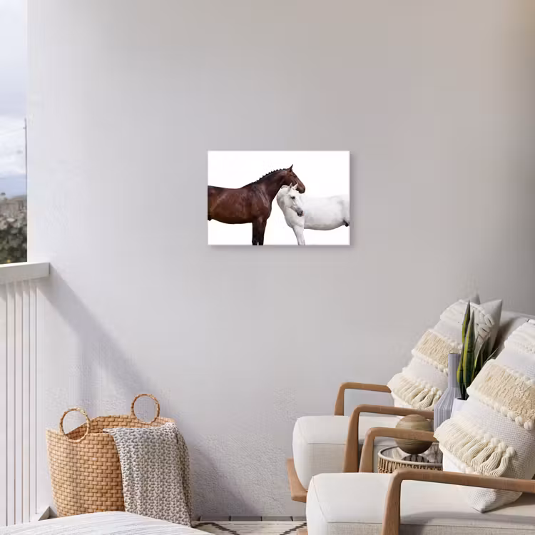 Paard - Modern - Balans Tuinposter op houten frame 2 cm dik klein -sfeer1