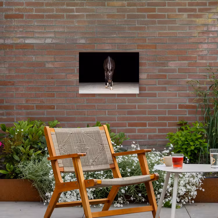 Paard - Modern - Portret Tuinposter op houten frame 2 cm dik klein -sfeer3