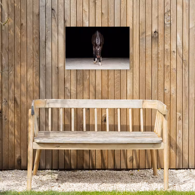 Paard - Modern - Portret Tuinposter op houten frame 2 cm dik klein -sfeer4
