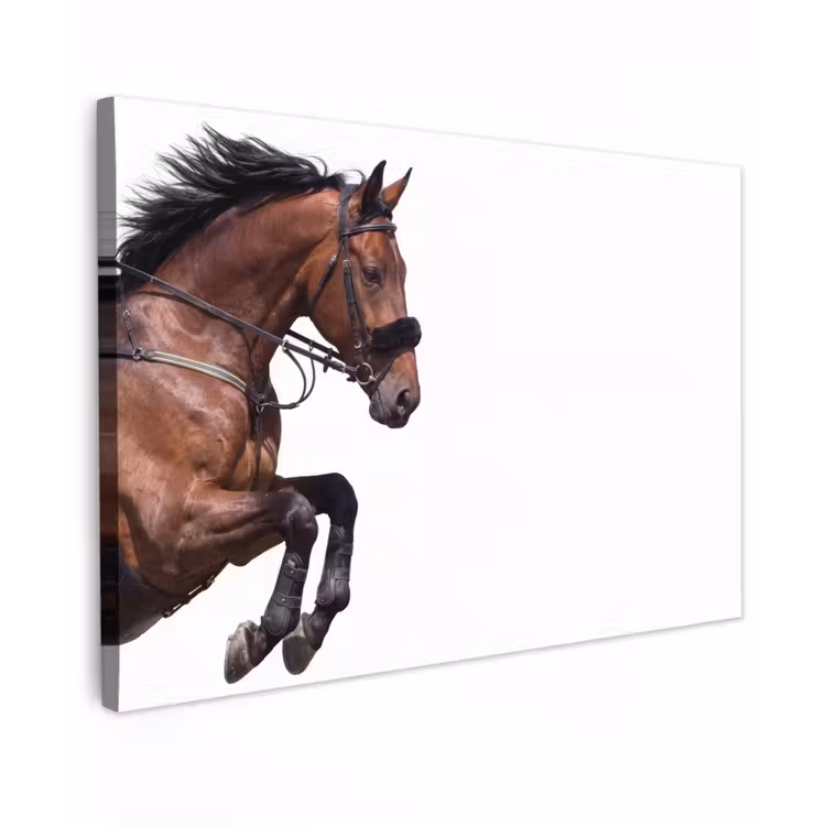 Paard - Springen - Modern Tuinposter op houten frame 2 cm dik klein -3d