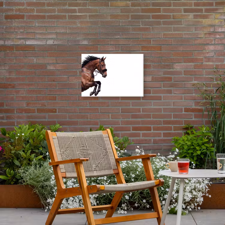 Paard - Springen - Modern Tuinposter op houten frame 2 cm dik klein -sfeer3