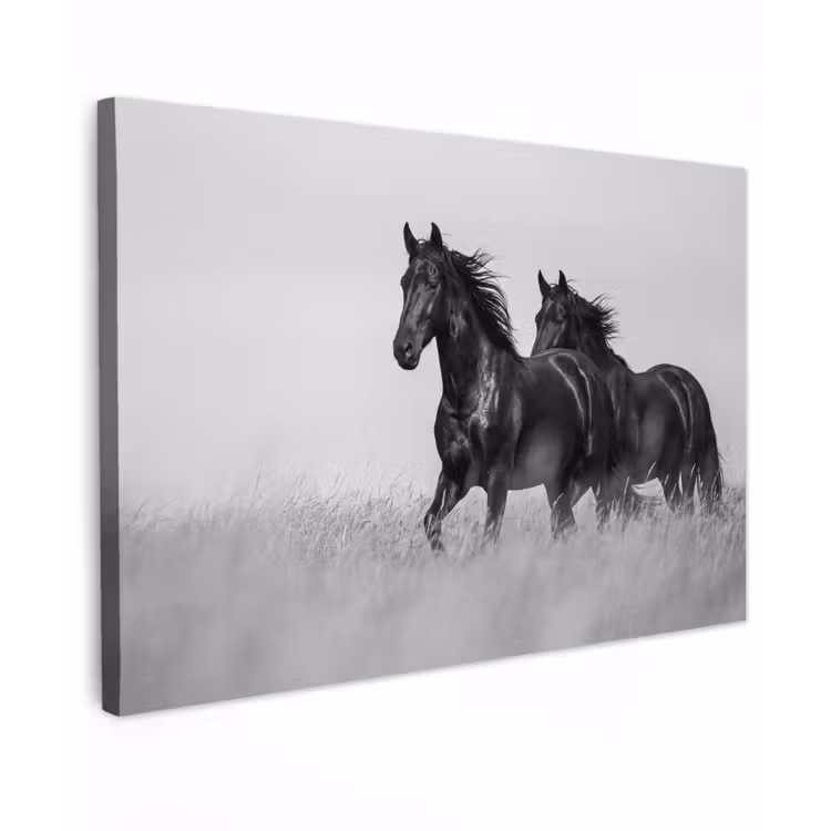 Paarden - Gras - Zwart - Wit Tuinposter op houten frame 2 cm dik klein -3d