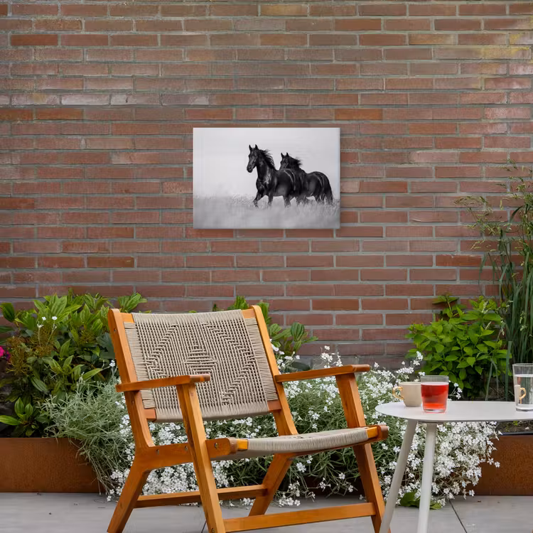 Paarden - Gras - Zwart - Wit Tuinposter op houten frame 2 cm dik klein -sfeer3