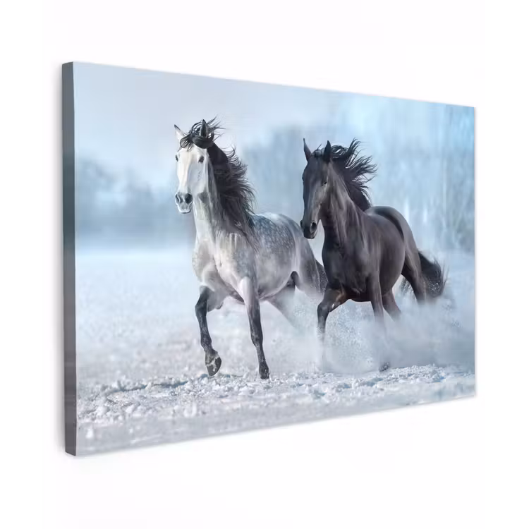 Paarden - Winter - Dieren - Natuur - Sneeuw Tuinposter op houten frame 2 cm dik klein -3d