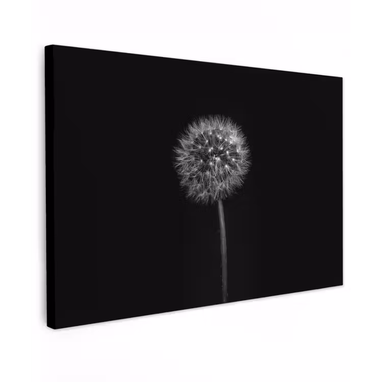 Paardenbloem - Zwart - Bloemen - Botanisch Tuinposter op houten frame 2 cm dik klein -3d