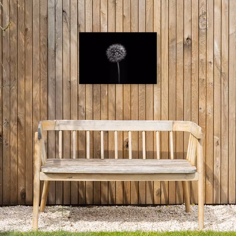 Paardenbloem - Zwart - Bloemen - Botanisch Tuinposter op houten frame 2 cm dik klein -sfeer4
