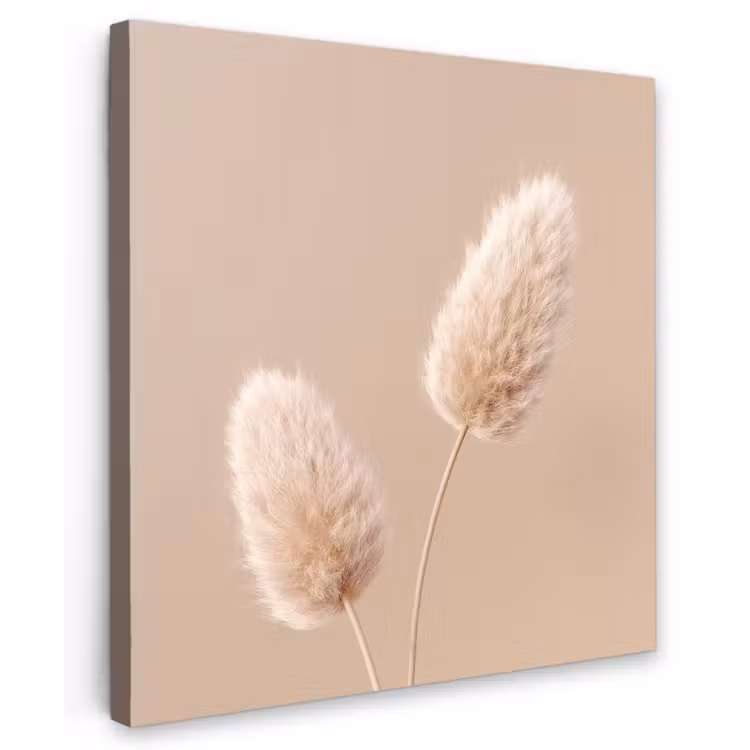 Pampas pluimen - Beige - Planten Tuinposter op houten frame 2 cm dik middel -3d