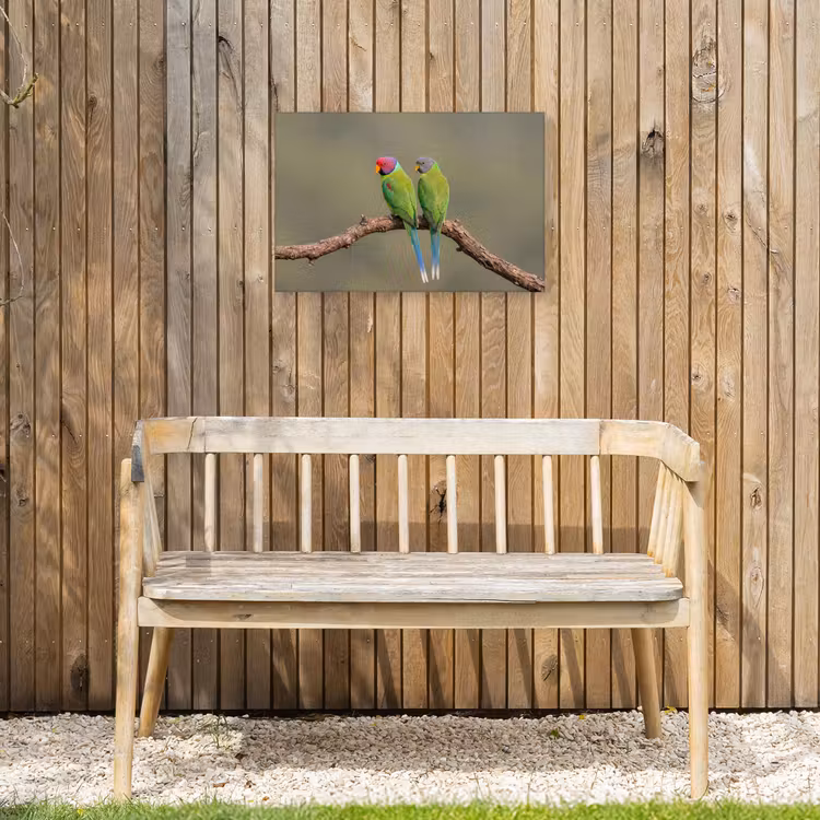 Papagaai - Tak - Natuur - Kleurrijk Tuinposter op houten frame 2 cm dik klein -sfeer4