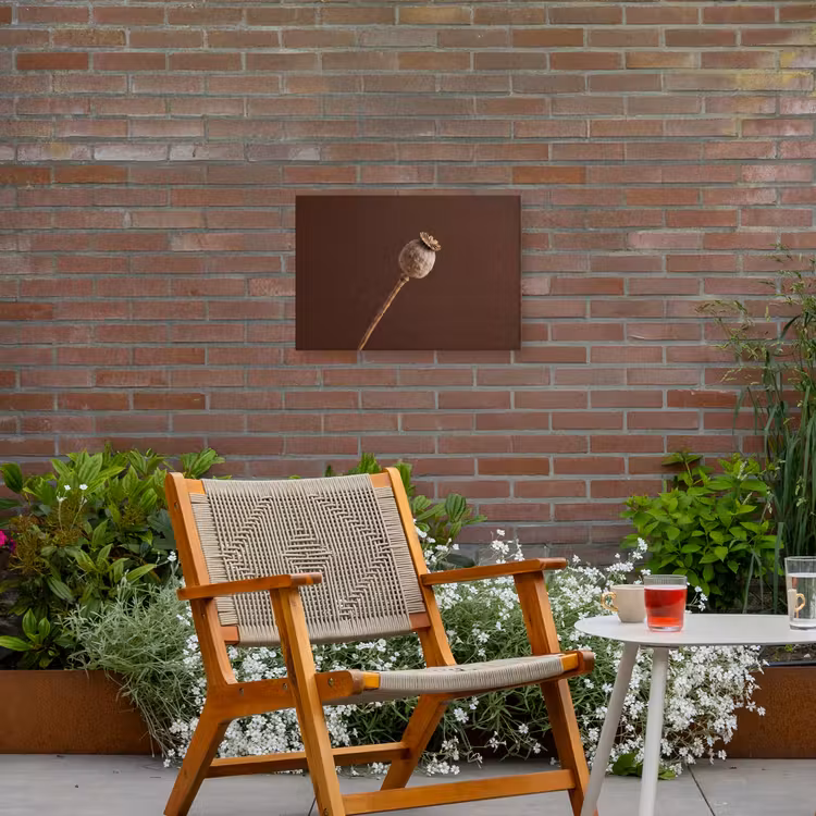 Papaverbol - Droogbloem - Bruin - Minimalistisch Tuinposter op houten frame 2 cm dik klein -sfeer3