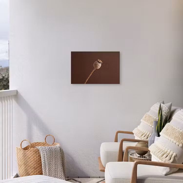 Papaverbol - Droogbloem - Bruin - Minimalistisch Tuinposter op houten frame 2 cm dik klein -sfeer1