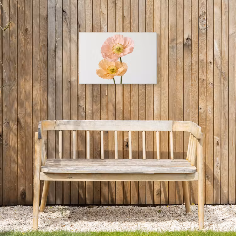 Papavers - Botanisch - Roze Tuinposter op houten frame 2 cm dik klein -sfeer4